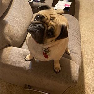 Meet your Posher, Michael